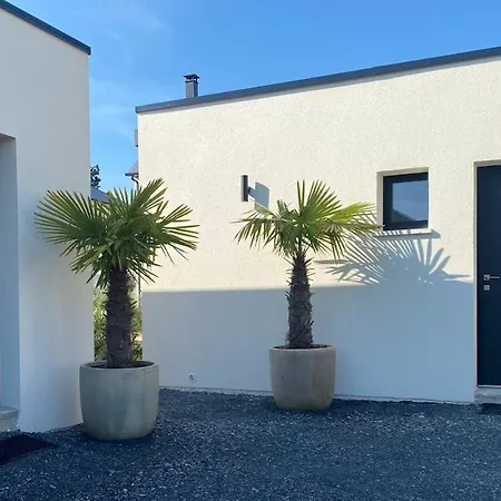 Sword 61 Découverte